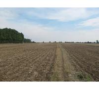 UK Photo Print A4 / 12"x8" North Downs Way towards Bramling Road Bishopsbourne The long di c2010