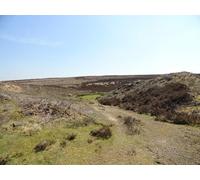 UK Photo Print A4 / 12"x8" Old quarry Waskerley This old quarry lies just south of the Was c2012