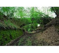 UK Photo Print A4 / 12"x8" Old railway bridge and cutting Lea The same bridge as in my pre c2014