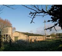 UK Photo Print A4 / 12"x8" Old Sheds at Hare Hall Roke Maybe disused, maybe not. It's c2010