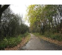 UK Photo Print A4 / 12"x8" On from the Beech valley Congleton Looking along another stretc c2010