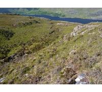 UK Photo Print A4 / 12"x8" On the hillside, looking down the course of a small stream Fuar c2010