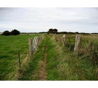 UK Photo Print A4 / 12"x8" On the Pilgrims Way Peene The Ordnance Survey Map marks this tr c2010