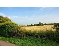 UK Photo Print A4 / 12"x8" Over the hedge and into the field Golborne c2010