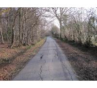 UK Photo Print A4 / 12"x8" Park Lane Daniel's Water Etchden Wood on the left. c2013