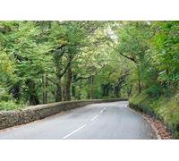 UK Photo Print A4 / 12"x8" Passing Coed Camlyn, Maentwrog, Gwynedd Tan-y-bwlch/SH6540 Anc c2010