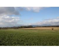 UK Photo Print A4 / 12"x8" Pasture below Heath Hill Holdfast/SO8537 From the path up Heat c2010