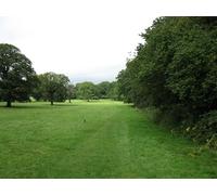 UK Photo Print A4 / 12"x8" Path beside the bluebell wood West Horsley One of several paths c2011