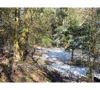 UK Photo Print A4 / 12"x8" Path in the wood Little Compton Difficult to see but there is a c2010