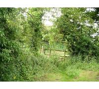 UK Photo Print A4 / 12"x8" Path meets the road Burdrop The footpath ends here where it exi c2012