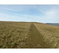 UK Photo Print A4 / 12"x8" Path over Wild Boar Fell Shoregill c2010