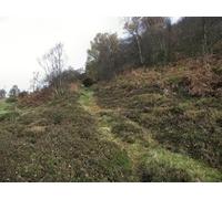 UK Photo Print A4 / 12"x8" Path up the hill Biddulph There are several small paths criss-c c2010
