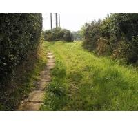 UK Photo Print A4 / 12"x8" Paved causeway, Raw Raw/NZ9305 This byway from Raw to Fylingth c2014