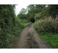 UK Photo Print A4 / 12"x8" Pilgrims Lane Caterham Adopted by the North Downs Way - this se c2010