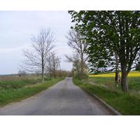 UK Photo Print A4 / 12"x8" Pound Green Road, Badingham Bruisyard Looking towards the A1120 c2010