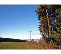 UK Photo Print A4 / 12"x8" Power Lines, Beith The trees have recently been cut back, I thi c2010