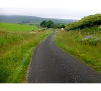 UK Photo Print A4 / 12"x8" Private Road To Burnside Cottage Wood House Using the footpath c2015