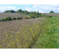 UK Photo Print A4 / 12"x8" Red Hill, Wherwell Lush grassland on the downs above the River c2010