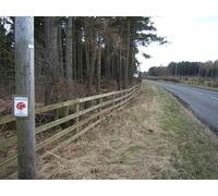 UK Photo Print A4 / 12"x8" Red squirrel warning Ford Hill/NT9537 Despite being as quiet a c2013