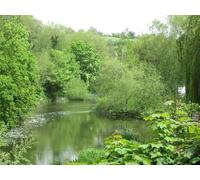 UK Photo Print A4 / 12"x8" River Avon from Avoncliff Aqueduct Bradford-On-Avon c2015