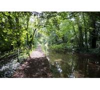 UK Photo Print A4 / 12"x8" River Thames and the Thames Path Ashton Keynes c2014