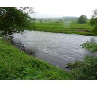 UK Photo Print A4 / 12"x8" River Wharfe downstream from the stepping stones Drebley c2012