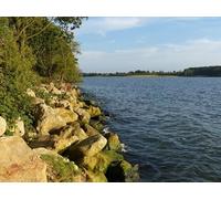 UK Photo Print A4 / 12"x8" Rocky shoreline at Hambleton Wood Upper Hambleton This is on th c2012