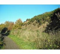 UK Photo Print A4 / 12"x8" Sandstone outcrop Forest Town Strictly speaking probably not an c2012