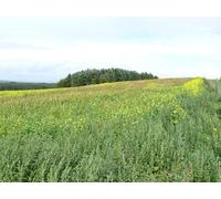 UK Photo Print A4 / 12"x8" Shaw Hill Barrachan/NX3649 View across this field which is ent c2010
