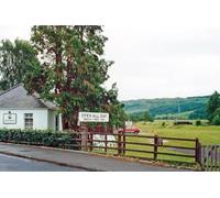 UK Photo Print A4 / 12"x8" Site of Dumgoyne station, 1997 View southward at the Beech Tree c1997