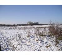 UK Photo Print A4 / 12"x8" Snow-covered fields, St Nicholas, Vale of Glamorgan Tre-hill c2010