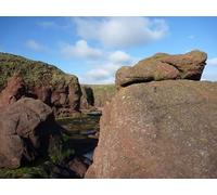 UK Photo Print A4 / 12"x8" Stacking Up - On the stump at Dunbar's rocky foreshore A view b c2010
