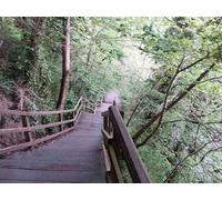 UK Photo Print A4 / 12"x8" Steps on the path next to the River Almond Cramond c2015