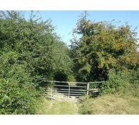 UK Photo Print A4 / 12"x8" Stile and gate on path to Snape Wood Best Beech Hill A field ed c2013