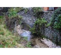 UK Photo Print A4 / 12"x8" Stream at Hyde, Winchester, Hampshire One of several streams wh c2010