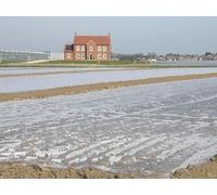 UK Photo Print A4 / 12"x8" Summer salad under wraps Boston The silt land around Boston is c2010