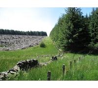 UK Photo Print A4 / 12"x8" The final approach to Crailzie Hill from the east Harehope/NT2 c2010