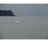 UK Photo Print A4 / 12"x8" The Gore under water Buck's Cross Waves breaking over the rocky c2010
