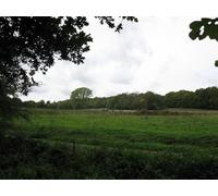UK Photo Print A4 / 12"x8" The Hog's Back Compton/SU9546 The lower slopes of the Hog' c2010