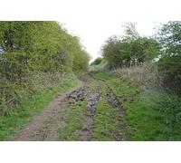 UK Photo Print A4 / 12"x8" The Hudson Way towards Mill Farm Etton 2 c2014