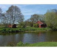 UK Photo Print A4 / 12"x8" The island, River Wey Send Marsh The small island at the conflu c2013