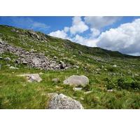 UK Photo Print A4 / 12"x8" The mountainside below Y Foel Goch looking North East c2010