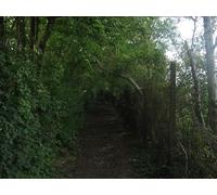 UK Photo Print A4 / 12"x8" The North Downs Way heading towards Patrixbourne Bishopsbourne c2010