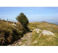 UK Photo Print A4 / 12"x8" The path near Tan-y-bwlch Llanbedr-y-cennin c2010