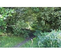 UK Photo Print A4 / 12"x8" The path through Nab Wood Chorley/SD5817 The path has got smal c2012