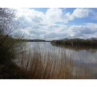 UK Photo Print A4 / 12"x8" The River Ouse Passing Howden Dike Island Goole Stood on the ri c2016