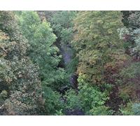 UK Photo Print A4 / 12"x8" The River South Esk Temple/NT3158 Looking down into the deep v c2011