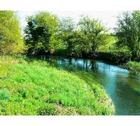 UK Photo Print A4 / 12"x8" The River Thames from the Thames Path, near Latton Cricklade Th c2010