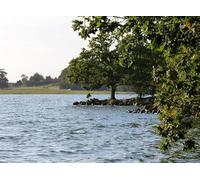 UK Photo Print A4 / 12"x8" The shoreline at Hambleton Wood Upper Hambleton This is on the c2012