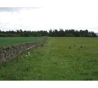UK Photo Print A4 / 12"x8" The St Cuthbert's Way path near Ancrum At this point St Cuthber c2010